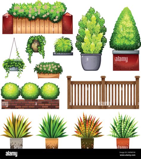 Ornamental Plants Stock Vector Images Alamy