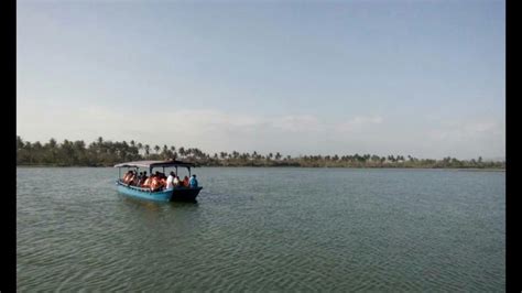 Selain berfungsi sebagai tempat berteduh, cemara udang berguna untuk membentengi pesisir. Pantai Laguna / Kisah Tragis Penyu Laut Mati Di Pantai ...