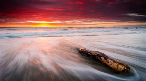 Download Horizon Driftwood Branch Sea Ocean Orange Color Sky Nature