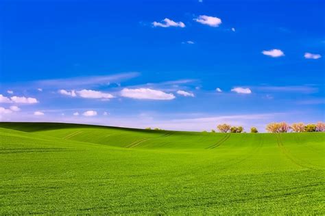 Hd Wallpaper Green Grass Field Near Trees Czech Republic Landscape