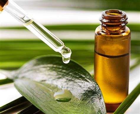 Suppliers with verified business licenses. Make Tea Tree Oil A Part Of Your Daily Skin Routine