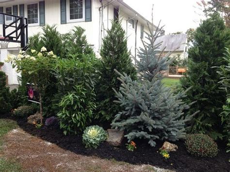 20 Creative Ideas Make Evergreen Garden For Your Front Yard Privacy