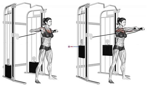 Cable Standing Chest Press Home Gym Review