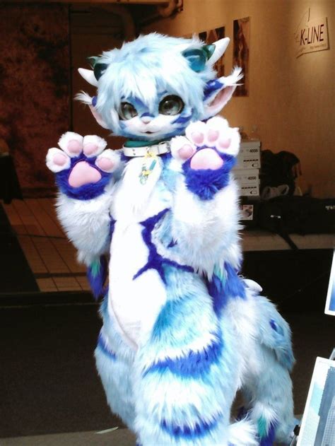 A Blue And White Furry Cat Standing On Its Hind Legs With One Paw In The Air
