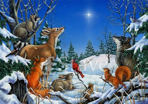 Christmas Pictures Forest Animals Christmas Animals