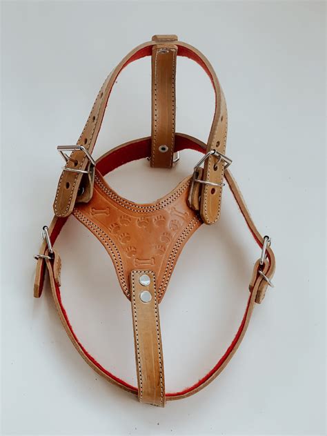 Dogs Leather Harness Medium Dogs Leather Harness Dogs Etsy