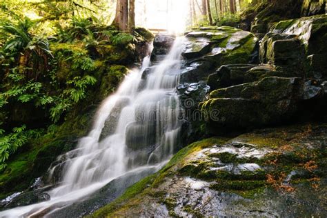 Beautiful Shot Of A Waterfall Surrounded By Mossy Rocks And Plants In