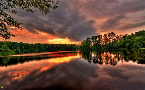 Sunset River Forest Beautiful River Landscape Photography 2560x1600