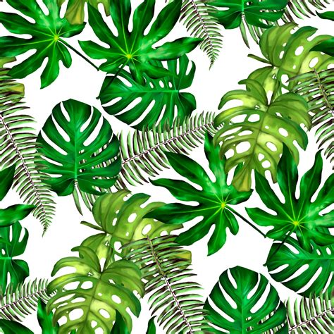 Tropical Leaves. Seamless Floral Background. Isolated On White. Vector Illustration. 556341 ...