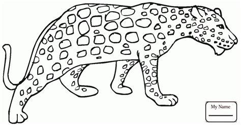 3 cheetah drawing easy for free download on ayoqq org. Baby Cheetah Drawing at GetDrawings | Free download