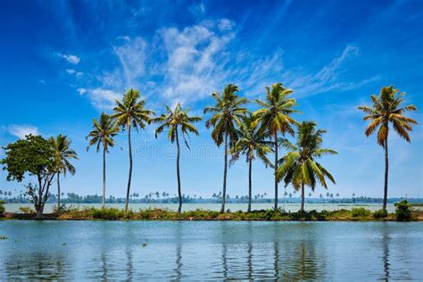Kerala Backwaters Stock Image Image Of Coconut Channel 103870925