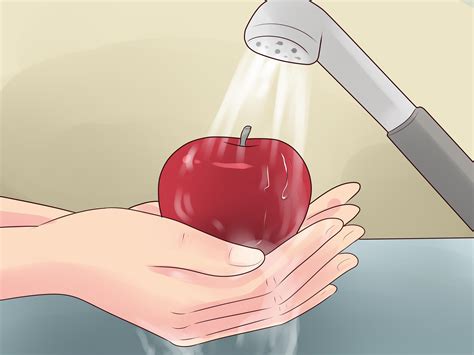 4 Ways To Prevent A Bacterial Infection Wikihow