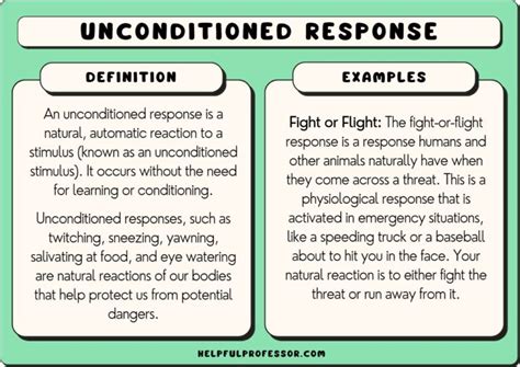 19 Unconditioned Response Examples 2024