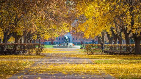 Urban autumn: Beautiful fall foliage in cities around the USA