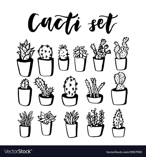 Cactus And Succulent Hand Drawn Set Doodle Vector Image