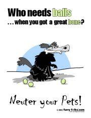 Spaying is also neutering, but this term is used specifically in the context of females and female reproductive organs. Pin by Kat Chaplin on Spay and neuter in 2020 | Pets ...