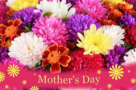 We Are Providing You Happy Mothers Day Flowers Bouquets And Baskets