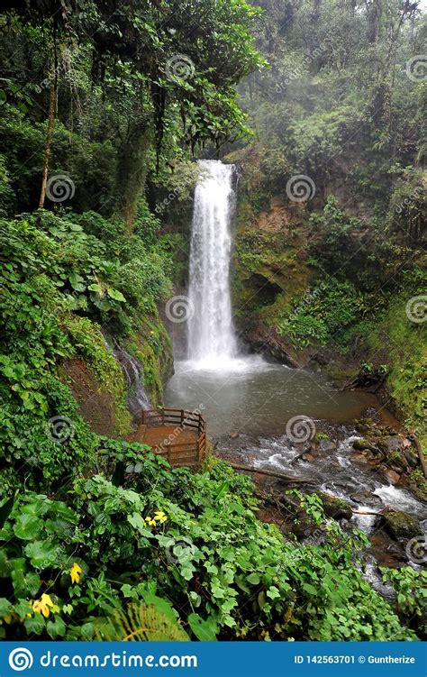 This Incredible Waterfall Is In Costa Rica In The Old World Forest Of