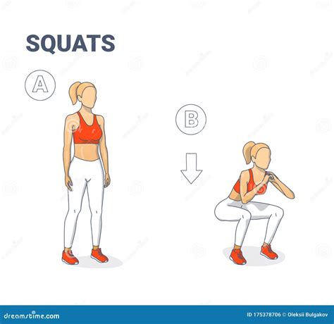 Girl Doing Squats Exercise Young Woman In Sportswear Doing Workout