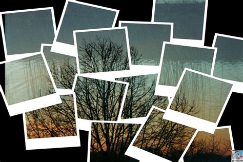 Polaroid Notes Polaroid Collage