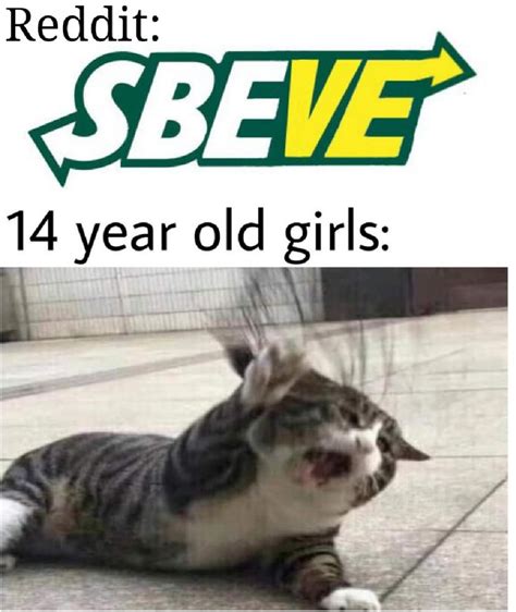Sbeve Intesifies Memes Viral Trends Funny Meme Twitch Kappa