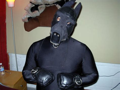 Even virtual puppies need lots of attention and tender loving care. puppy play craze by jonstef1 on DeviantArt