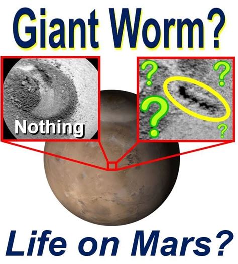 Giant Martian Worm Proof Of Alien Life Say Extraterrestrial Enthusiasts Market Business News