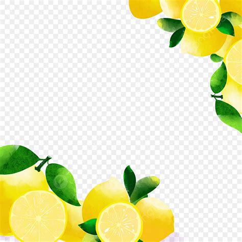 Lemon Fruits Png Image Yellow Lemon Fruit Watercolor Border Lemon