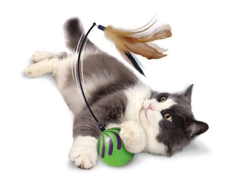 Cat dancer is the original interactive cat toy. SmartyKat Feather Whirl Electronic CAT Toy | Walmart Canada