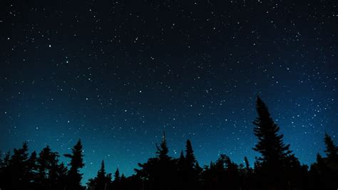 Night Sky Time Lapse Over Pine Trees Stock Footage Video 12617324