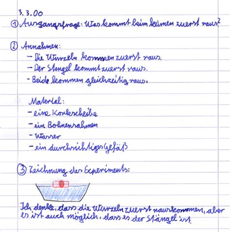 Ein versuchsprotokoll muss klar formuliert und sauber formatiert sein, so dass es auch für personen außerhalb der eigenen gruppe nachvollziehbar ist. Was kommt zuerst raus, der Stängel oder die Wurzel?