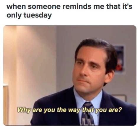 Tuesday Memes The Best Memes For The Worst Day Of The Week