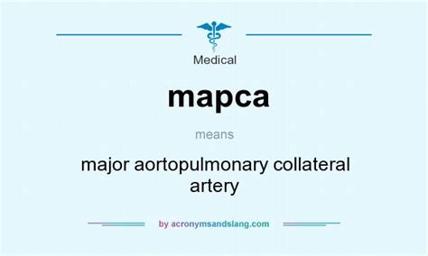 Cd computer abbreviation usually means ? mapca - major aortopulmonary collateral artery in Medical ...