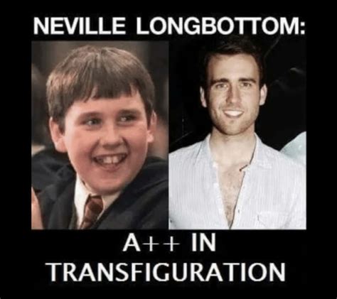 18 Neville Longbottom Memes That Prove Hes Actually The Chosen One