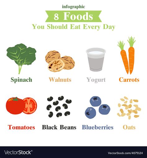 foods you should eat everyday infographic vector image sexiz pix