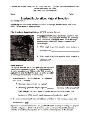 The initial population of 40 moths is scattered over 20 tree trunks. Student Exploration Natural Selection Answer Key Quizlet + My PDF Collection 2021