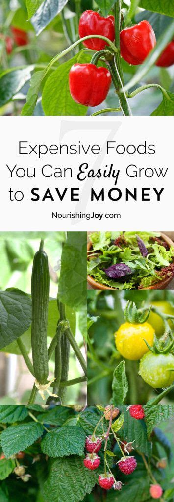 7 Expensive Foods You Can Grow To Save Money Saving Money Home