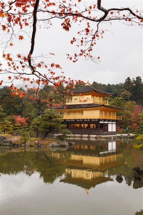 Kinkakuji Temple The Goldern Pavilion Kyoto Japan Stock Image