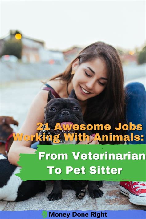 21 Awesome Jobs Working With Animals From Veterinarian To Pet Sitter