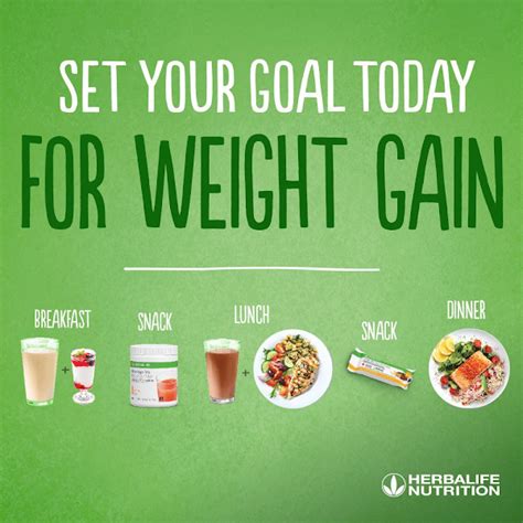 Weight gain meal plan when you want. Herbalife Gain Weight Meal Plan | Blog Dandk