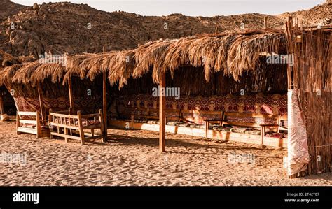 Warm hues of the desert embrace traditional Bedouin shelters Stock