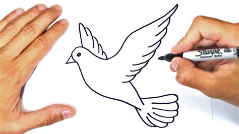 How To Draw A Dove Step By Step Dove Drawing Lesson Youtube