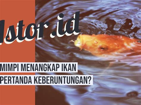 Mimpi dapat ikan mempunyai arti bahwa anda akan mendapatkan rezeki atau keberuntungan dimana sesuai besarnya ikannya juga semakin besar atau banyak anda mendapatkan ikan maka semakin. Mimpi Menangkap Ikan Mas Besar - Apa Bagaimana