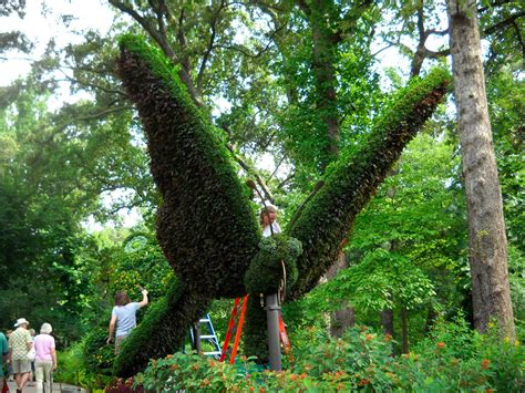 Check spelling or type a new query. Patsy's Post: The Atlanta Botanical Gardens, Imaginary ...