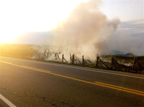 Veja o VÍDEO Muita fumaça causada pela queima da palha de cana de