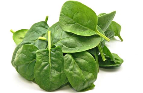 Spinach Incredible Health And Nutritional Benefits Nobowa Com