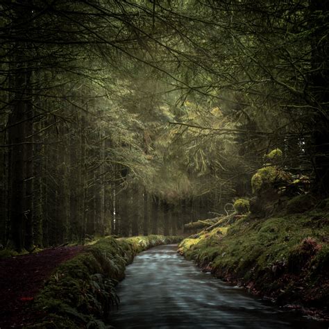 Misty Forest In Dartmoor England Photo Credit To Ben Fyfe Mostbeautiful