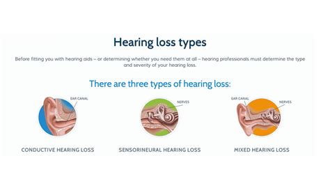 Are There Different Kinds Of Hearing Loss Sanskara Hearing Solutions