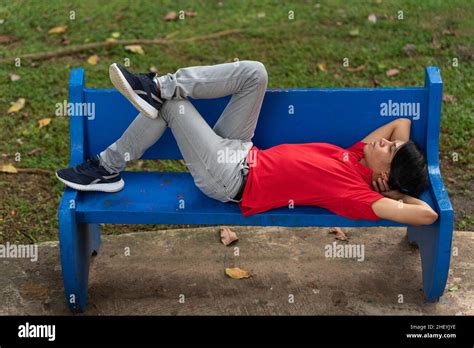 Portrait Of Young Man Lying On A Park Bench Stock Photo Alamy