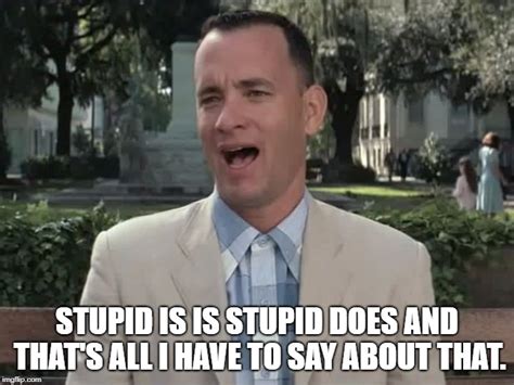 Forrest Gump Stupid Is As Stupid Does Meme · Memerest